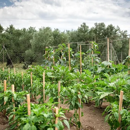 דירה Agrikia Tis Vasilikis Ormília