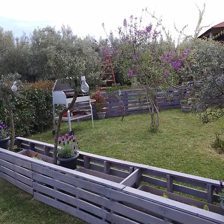 Agrikia Tis Vasilikis * Ormília