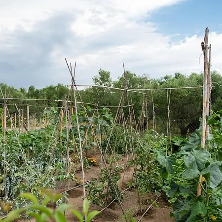 Agrikia Tis Vasilikis Daire