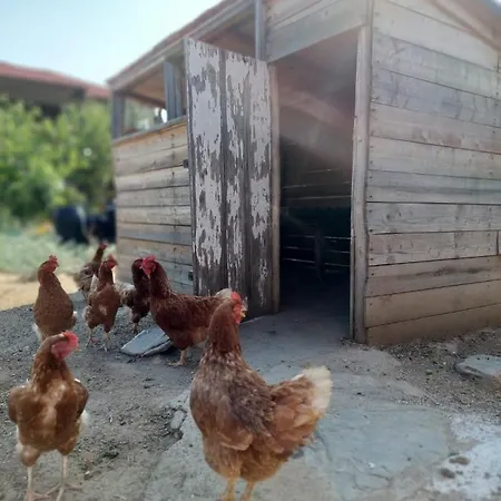 Agrikia Tis Vasilikis * Ormília