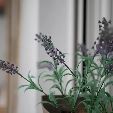 アパート Agrikia Tis Vasilikis Ormília