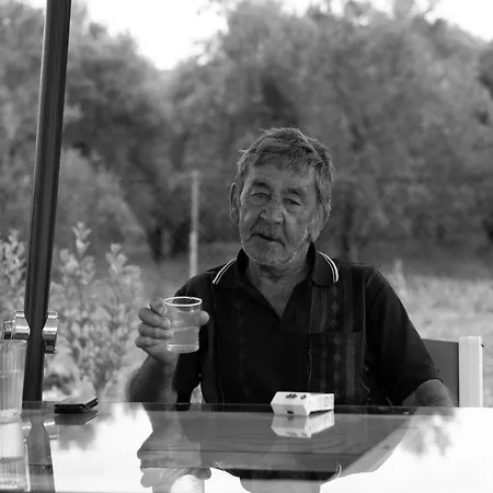 Agrikia Tis Vasilikis Daire Ormília