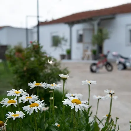 Agrikia Tis Vasilikis * Ormília