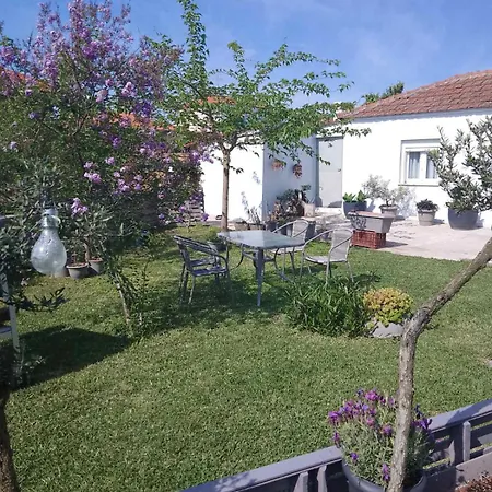 Agrikia Tis Vasilikis