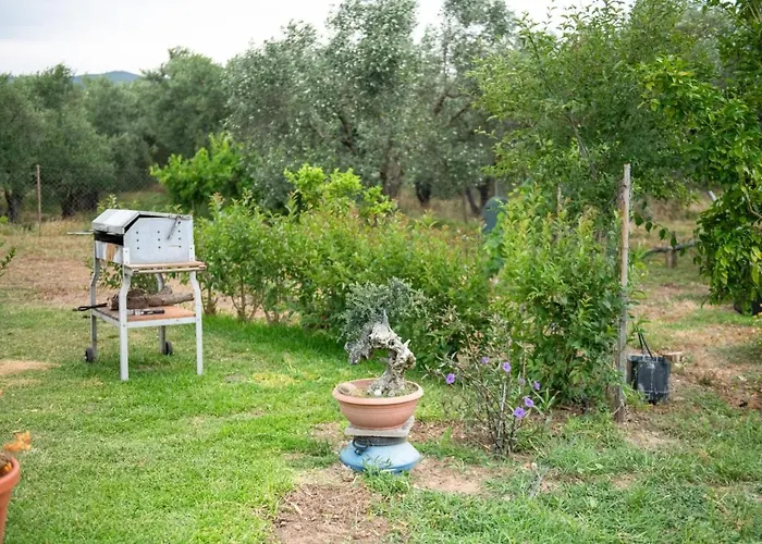 Apartment Agrikia Tis Vasilikis