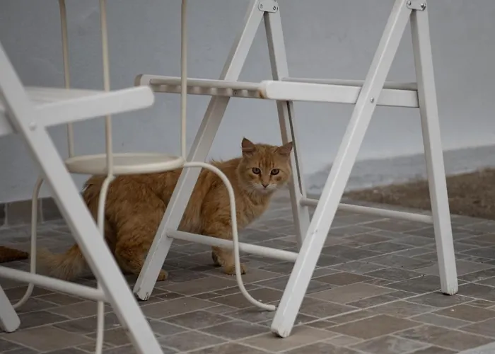 Appartement Agrikia Tis Vasilikis
