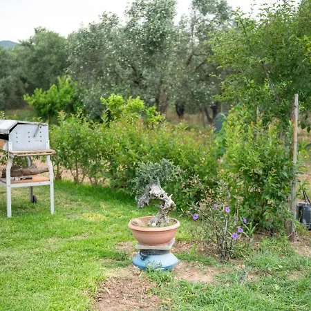 Apartment Agrikia Tis Vasilikis