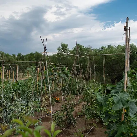 Agrikia Tis Vasilikis Apartment