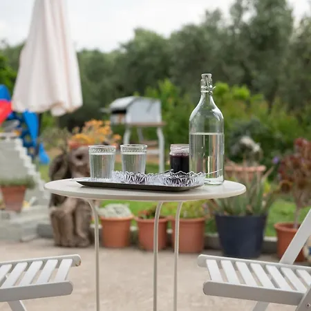 Agrikia Tis Vasilikis Apartment Ormília